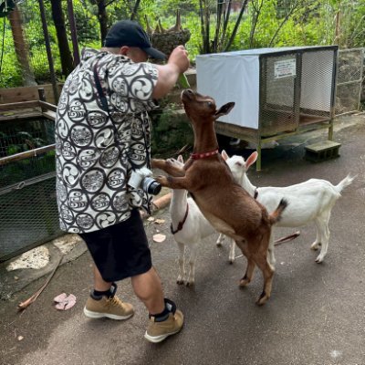 ぶろ's profile picture
