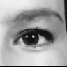 FDP (Flor De Pessoa)🌹🌻 🇵🇹's profile picture