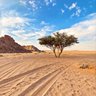 Profilbild von عساف العتيبي