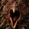 Profilbild von Jayme