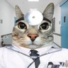 Profilbild von Noradrenalino