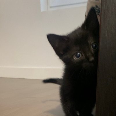 xsweeze's profile picture