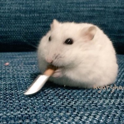 vanya 🇷🇺🇳🇴's profile picture