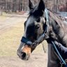Фото профиля 生涯回収率0%人間🐴