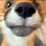 micky's profile picture