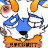 路白's profile picture