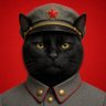 PK's profile picture