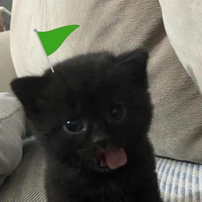 kafiw_mawdum's profile picture