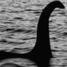 Loch Ness Monster is real! profil fotoğrafı