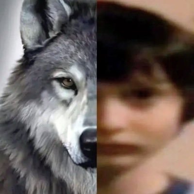 lou's profile picture