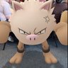 Profilbild von wackus1