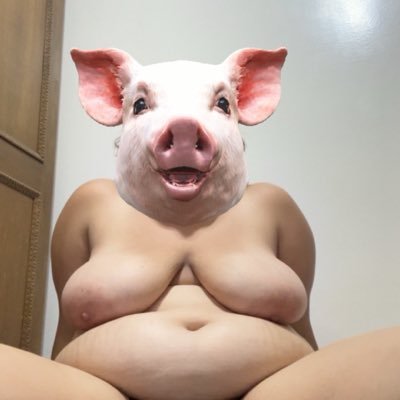 fatpigwhore11's profile picture