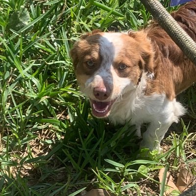 Davi⚽️'s profile picture