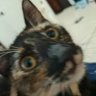 Profilbild von Arlley