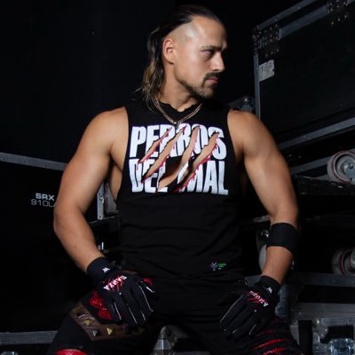 Angel Garza's profile picture