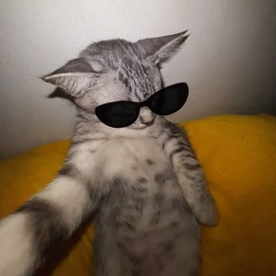 𝐉𝐀𝐂𝐊 ✦'s profile picture