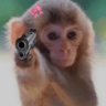 cam's profile picture