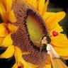Cathy's profile picture