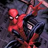Profilbild von Spidy
