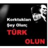 tolga profil fotoğrafı