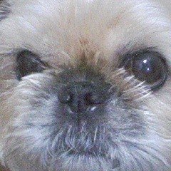 m9y_kobo's profile picture