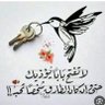 مسلم عقيل 的头像