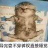 你的心是石头🪨 的头像