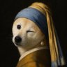 柴犬の見る夢's profile picture