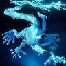 wyhoot's profile picture