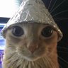 Profilbild von DOTAMA