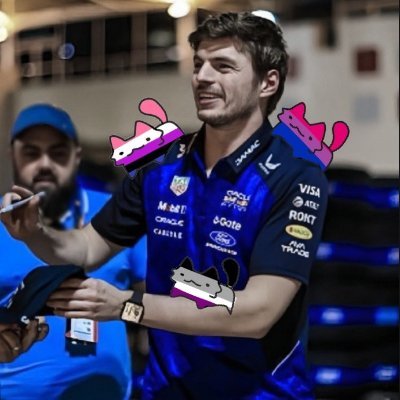 stevestappen's profile picture