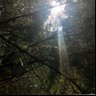 archived's profile picture