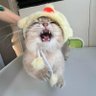Profilbild von cute.