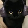 uma1r.'s profile picture