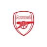 Arsenal Daily Challenge's profile picture