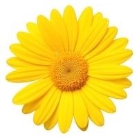 HIDDENPEOPLExx's profile picture