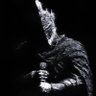 Фото профиля LIFER