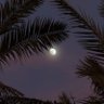 عبدالعزيز الأميري profil fotoğrafı