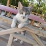 Mustafa profil fotoğrafı
