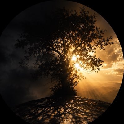 Schattenlicht's profile picture