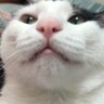 性感林球球's profile picture