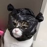 Val 🪩🤭 profil fotoğrafı