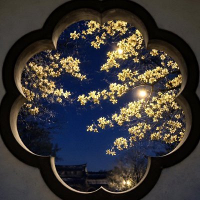 OmNiVibE's profile picture