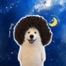 Profilbild von คืนนี้นอนกี่โมง ᐕ)੭ 🌙 🦙นอนได้แล้วขะ