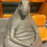 White Crow's profile picture