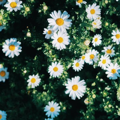 彩虹 🌈's profile picture