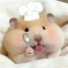 brat大王's profile picture