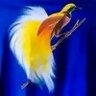 Jimmy's profile picture