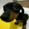 ):'s profile picture