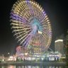 moamy2019 的头像